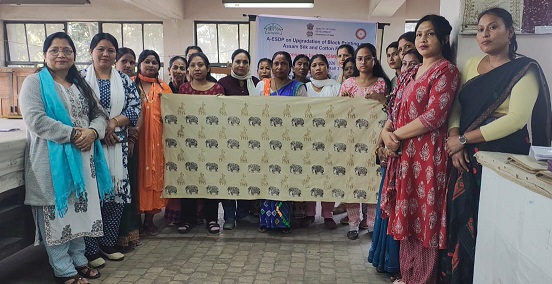 Advanced ESDP on Upgradation of Block Printing on Assam Silk and Cotton Fabric (Sponsoerd:DC-MSME,GoI) at NIRDPR-NERC,Guwahati, February 2-6, 2026 1